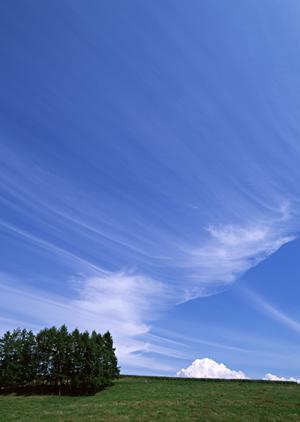 実績豊富な法事業者による贈り物通販