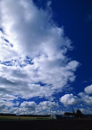 耐震性に考慮した最新型の納骨堂