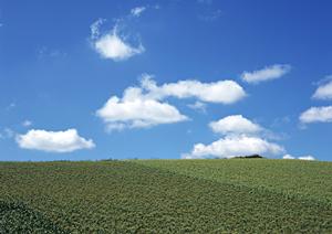 【公式】さがみ典礼 小山|信頼と実績の葬儀サービスと充実した設備で安心の葬儀プランを提供