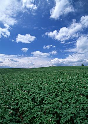 静岡県藤枝市に新登場!家族葬に最適な【家族葬のタクセル岡出山】の徹底ガイド