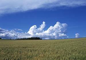 静岡県藤枝市の家族葬とモダンな葬儀場【富士葬祭 藤枝御苑】の特徴と利用ポイント