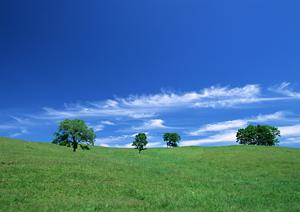 【公式情報と特徴解説】富士葬祭 富士見台|磐田市の家族葬・葬儀場選びのポイント