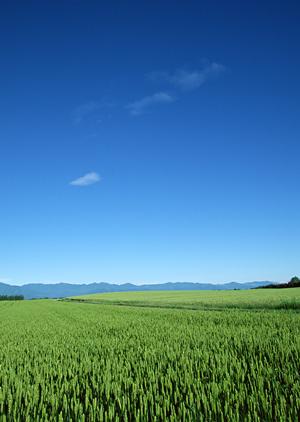 家族葬のタクセル雀宮|栃木県宇都宮市の家族葬・斎場・葬儀場の特徴と料金情報