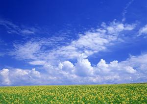 静岡県富士宮市の家族葬から一般葬まで対応!富士葬祭の葬儀サービスと店舗情報のご案内