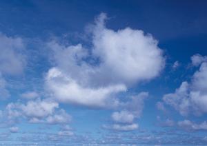 静岡市で信頼できる葬儀を提供する富士葬祭 材木町の特徴とサービス内容