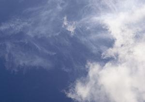 越谷市で信頼と実績の葬儀場|ティア越谷の特徴と施設情報