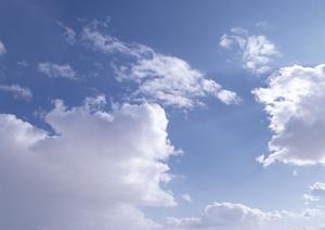 【2024年完全ガイド】信頼と実績を誇る「店舗名」の魅力と特徴