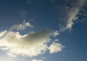 浜松市中央区の安心・信頼の葬儀サービス|富士葬祭 高林の特徴と店舗情報