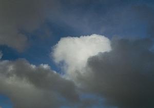 静岡県浜松市に新規オープン!家族葬専門の葬儀場「家族葬のタクセル有玉南町」の特徴と詳細情報